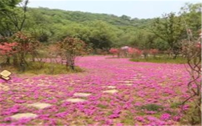 镇江市国家级经济技术开发区废弃矿山地质环境治理示范工程